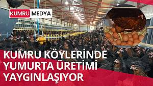 ORDU YUMURTA ÜRETİMİNDE EN ÖNEMLİ İLLERDEN BİRİ OLDU