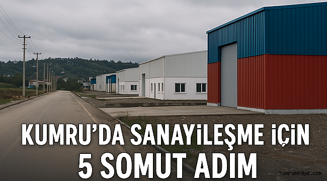 Kumru’da Sanayileşme İçin 5 Somut Adım