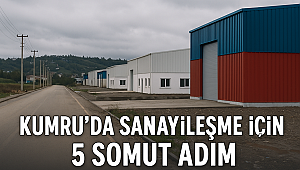 Kumru’da Sanayileşme İçin 5 Somut Adım