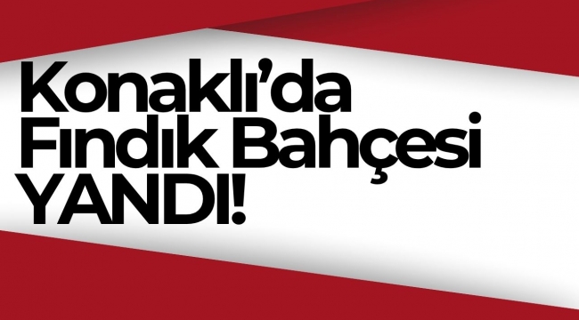 Kumru’da Fındık Bahçesinde Şüpheli Yangın: Ekipler Müdahale Etti