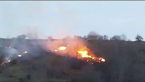 Kumru’da Fındık Bahçesinde Şüpheli Yangın: Ekipler Müdahale Etti