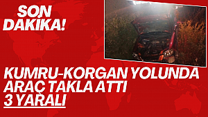 Kumru–Korgan–Fatsa Yolunda Kaza: Karamolla Virajı Yine Tehlike Saçtı