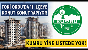 TOKİ Ordu'da 11 İlçeye Konut Yapıyor, Kumru Yine Listede Yok!
