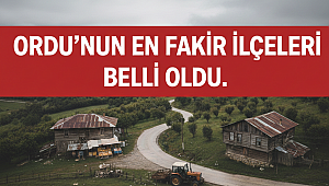 ORDU'DA İLÇELERİN EKONOMİK TABLOSU: FAKİRLİK HARİTASI ÇIKARILDI