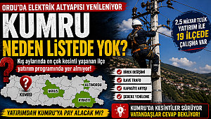 Ordu'da Elektrik Altyapısı Yenileniyor… Peki Kumru Neden Listede Yok?